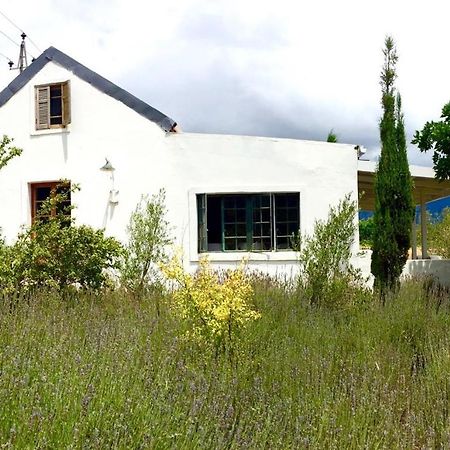 Designer Farm Cottage On Farm Franschhoek Exterior foto