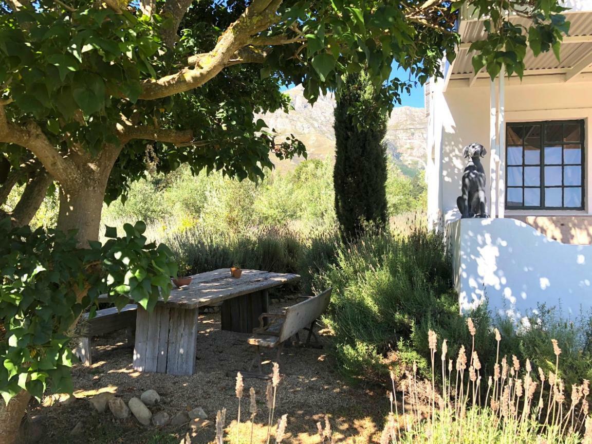 Designer Farm Cottage On Farm Franschhoek Exterior foto